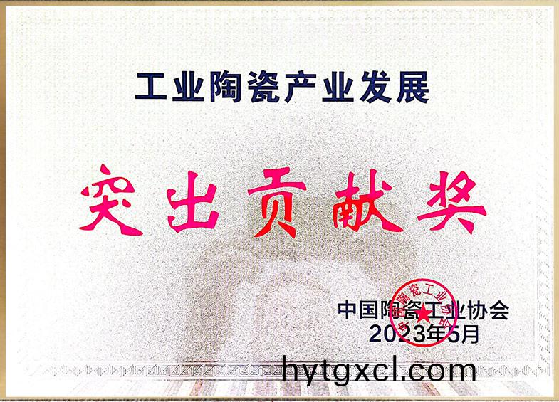 工(gong)业陶瓷(ci)产(chan)业发展(zhan)突(tu)出(chu)贡献奖(jiang)